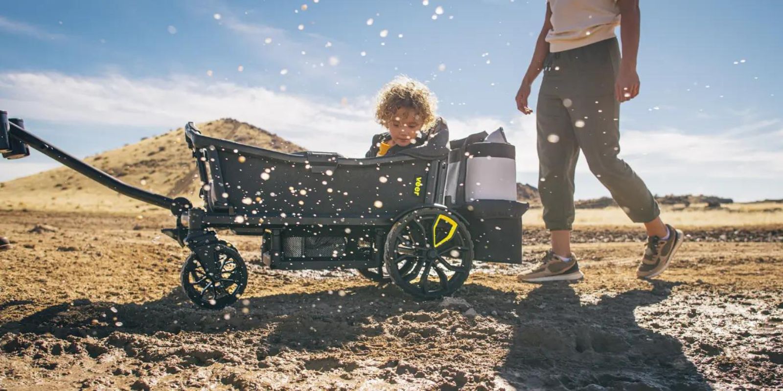 The Best Stroller Wagons of 2024  Albee Baby