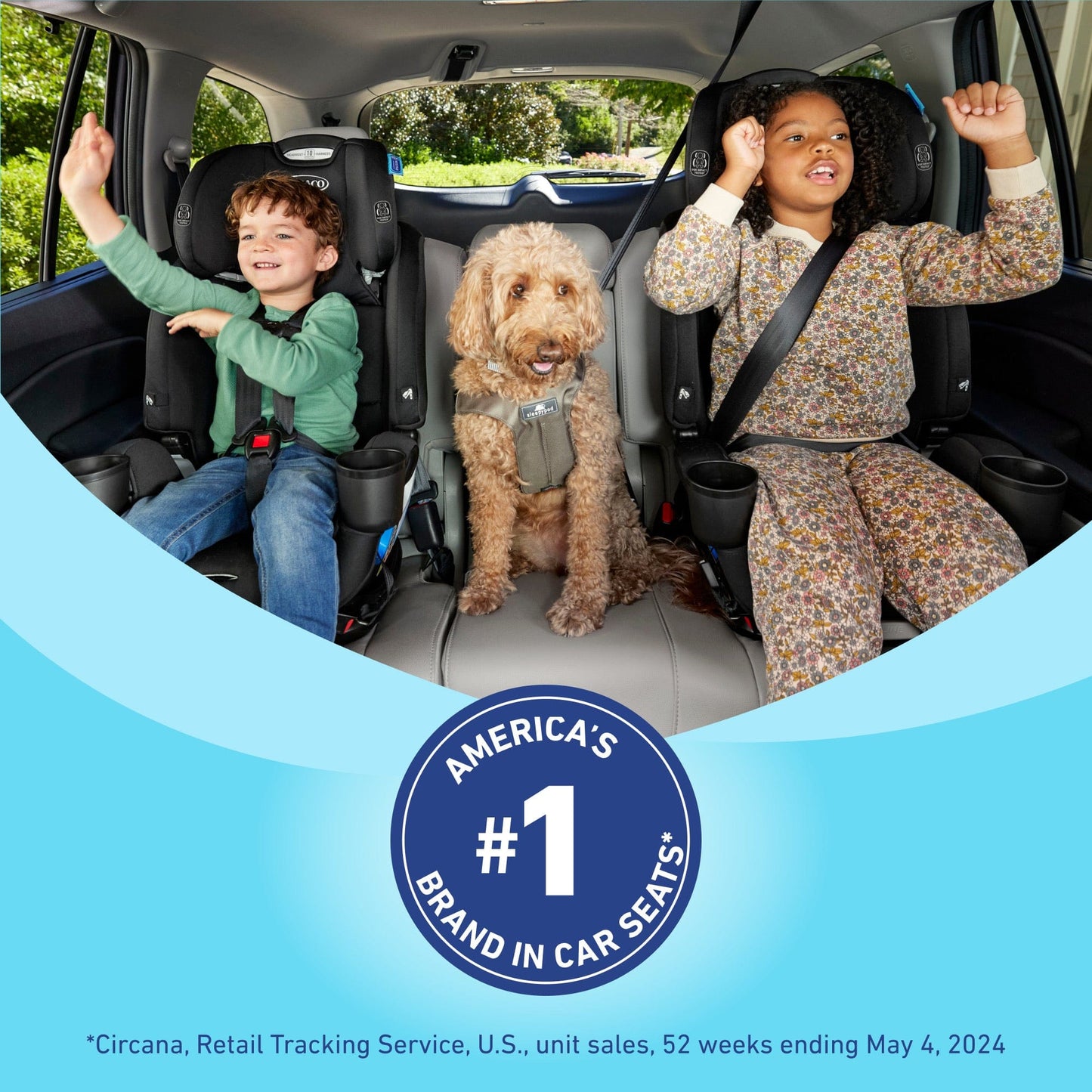 Graco Tranzitions 3-in-1 Harness Booster Car Seat - Cinder - 2218394