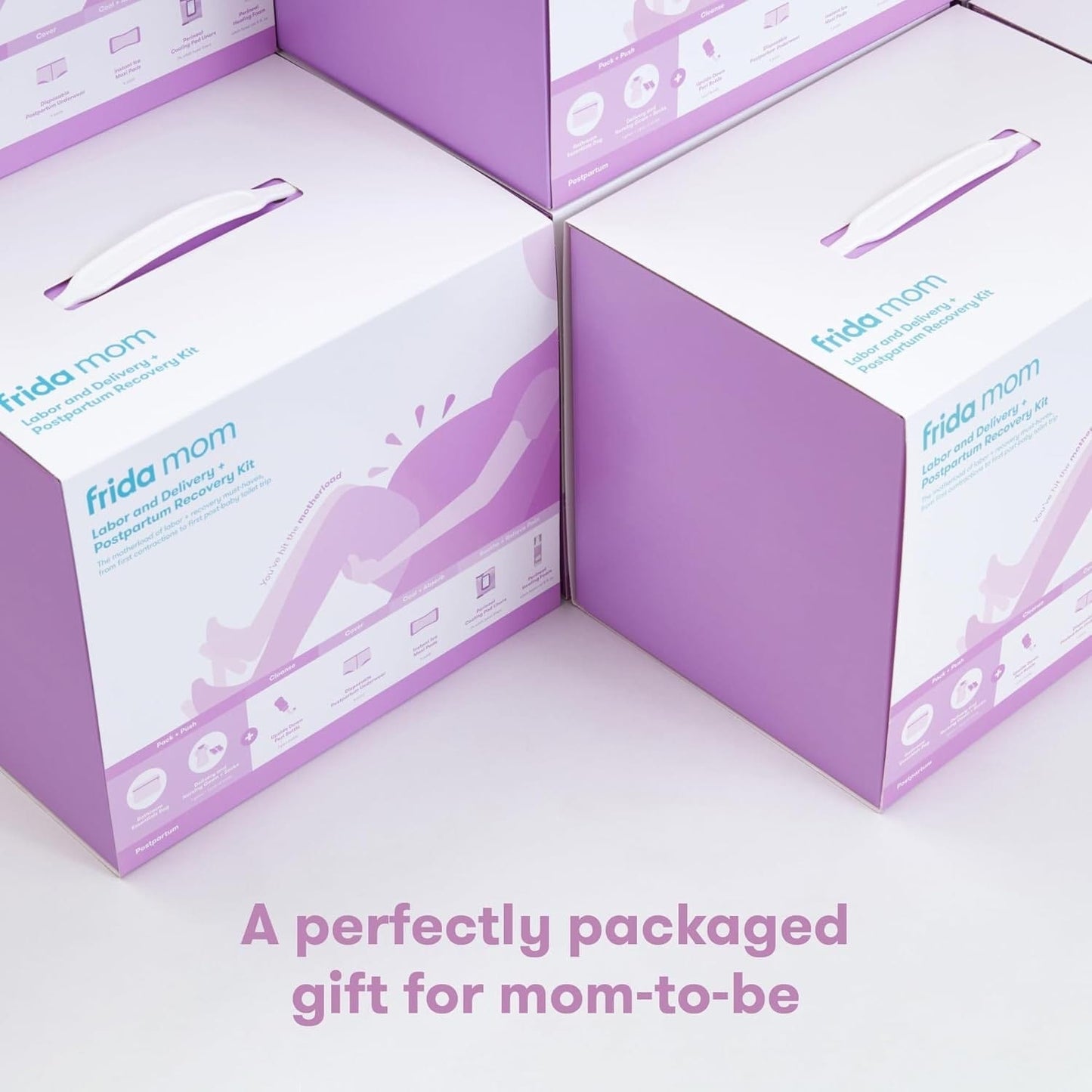 FridaBaby Labor and Delivery + Postpartum Recovery Kit - 500000793
