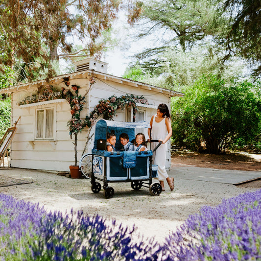 WonderFold W2 Elite/luxe Panoramic Canopy - Van Gogh Landscape With Houses - W2ELCPY-VGLH