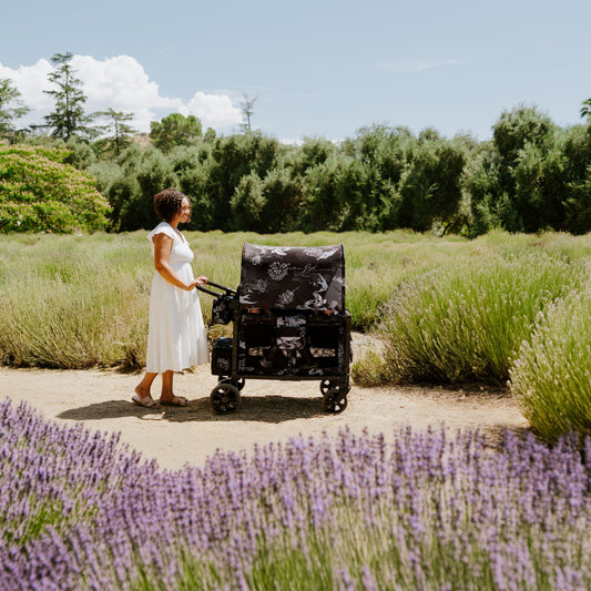 WonderFold W2 Elite/luxe Panoramic Canopy - Van Gogh Sketches - W2ELCPY-VGSK