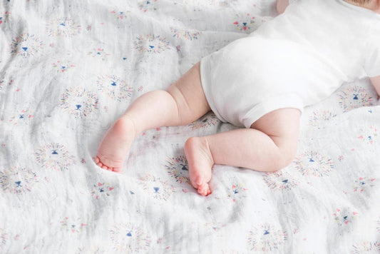 Aden + Anais Classic Swaddle Wraps, 4 Pack - Leader of the Pack - 2060-AA