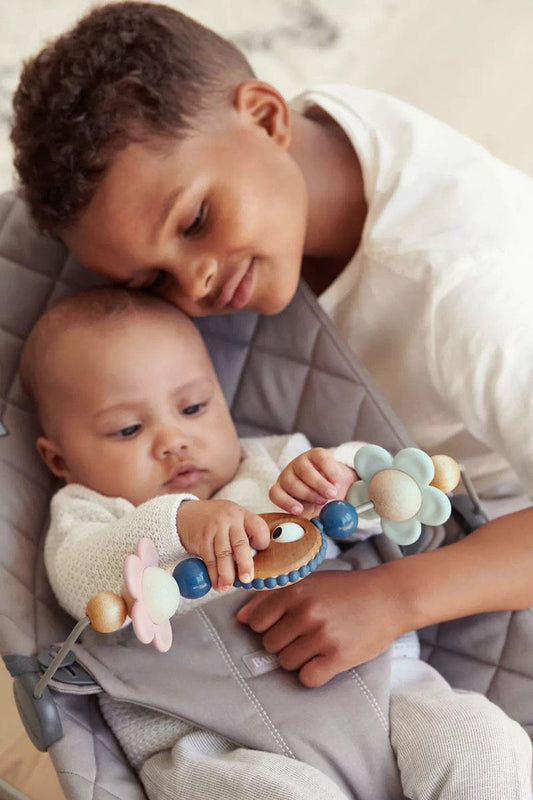 BabyBjörn Toy for Bouncer - Googly Eyes Pastels - 080510US
