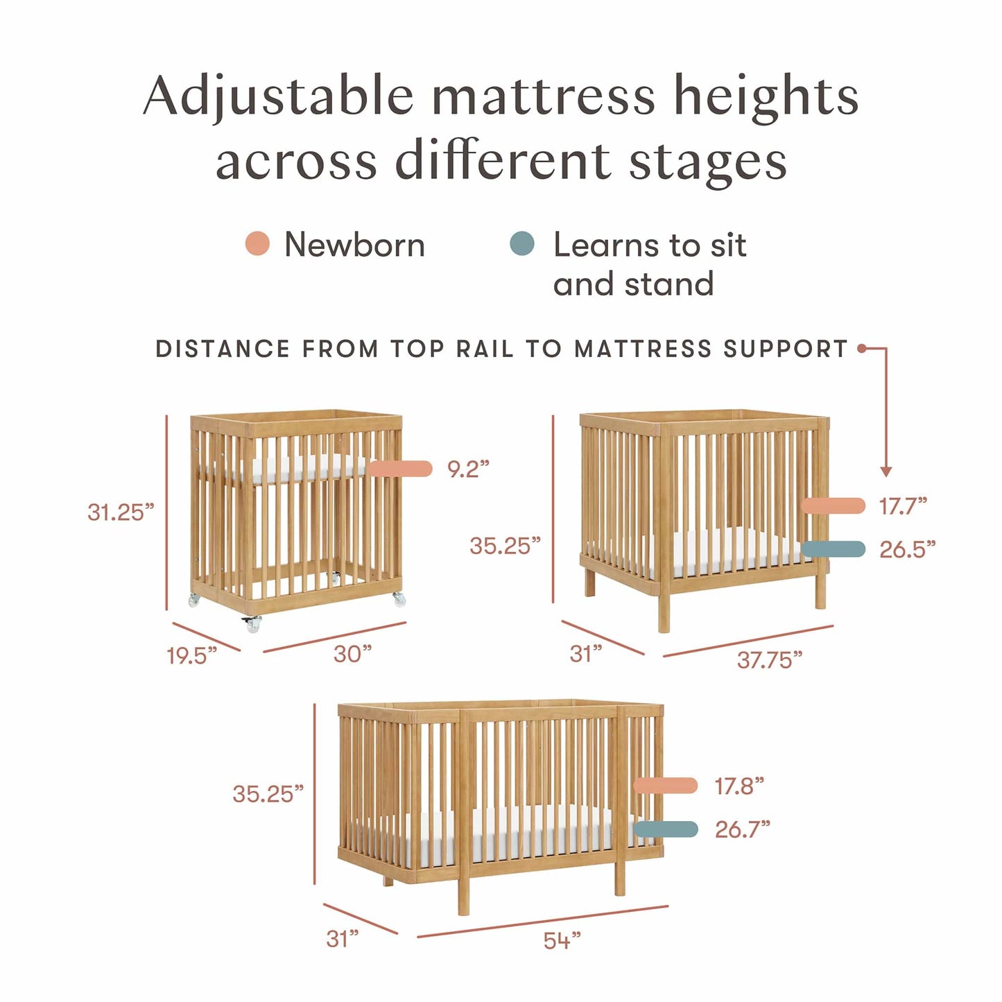 Babyletto Pogo 8-in-1 Convertible Crib w/All-Stages Conversion Kits - Honey - M29880HY