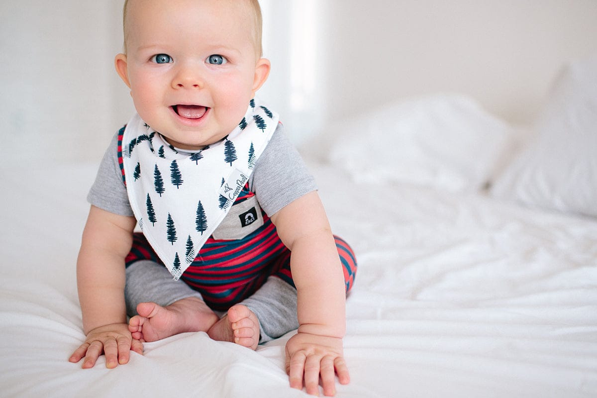 Copper Pearl Baby Bandana Bibs, 4 Pack - Scout - X001KIQ4QB