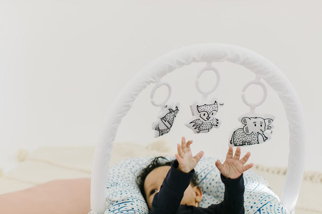 DockATot Toy Bundle for Deluxe+ Dock - White Arch + Cheeky Chums - 50150