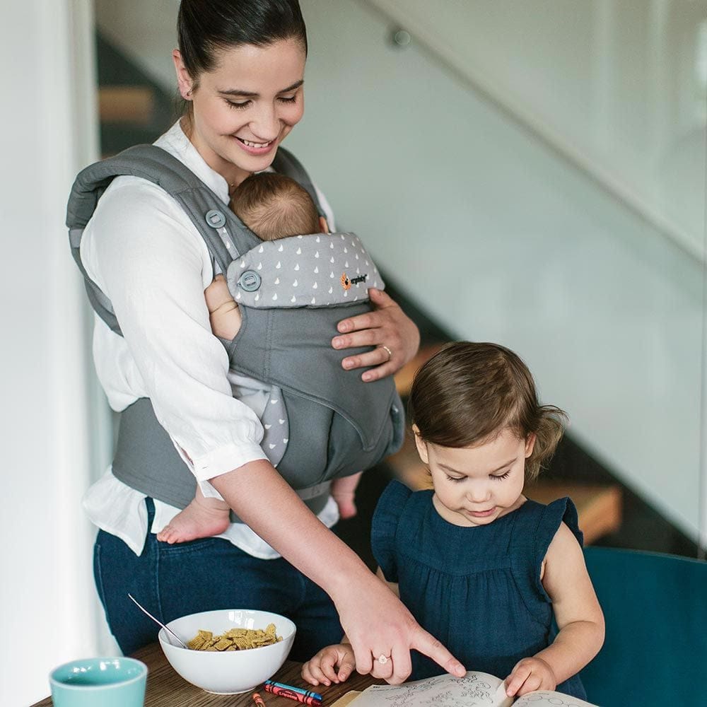 Ergobaby 360 Four Position Baby Carrier - Dewey - BC360ADWGY