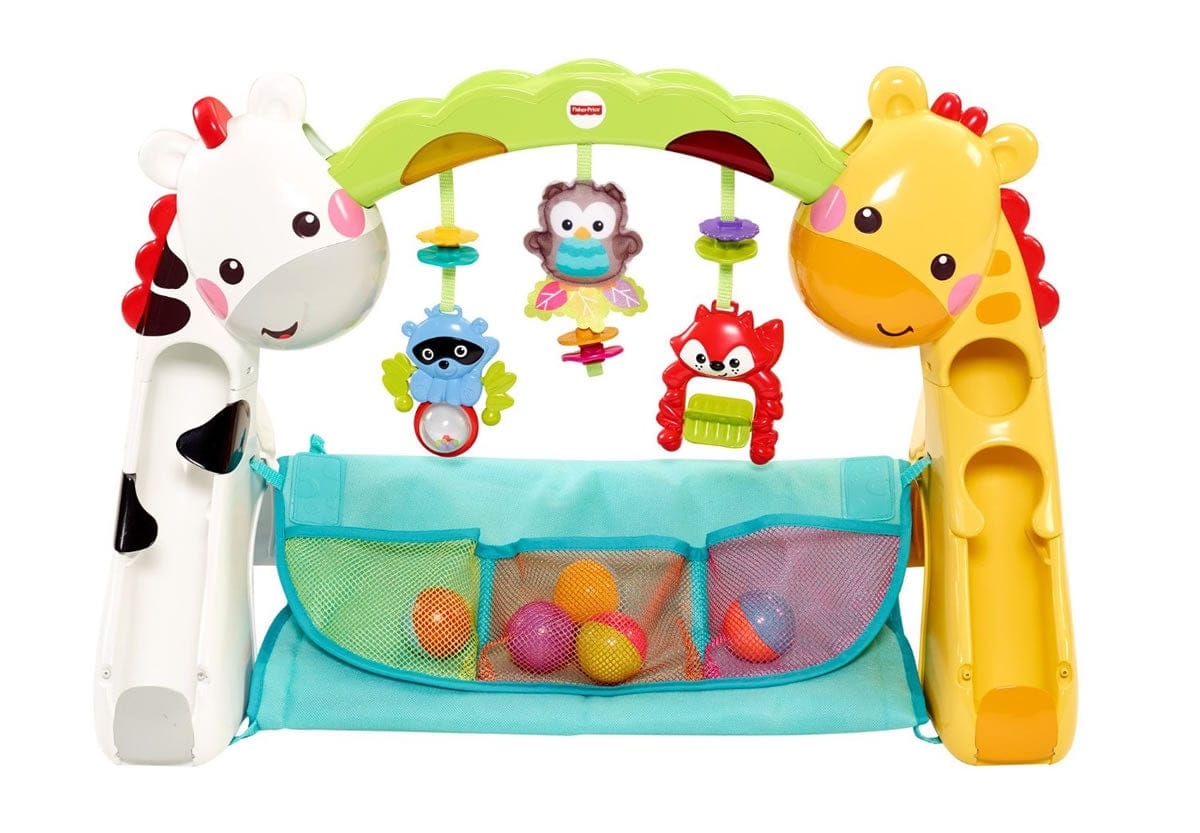 Fisher-Price Newborn-to-Toddler Gym