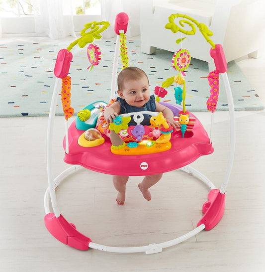 Fisher-Price Pink Petals Jumperoo - DJC81