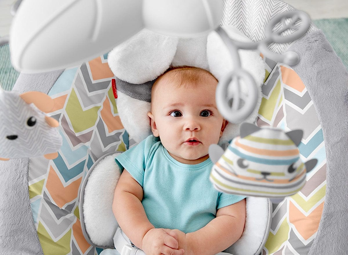 Fisher-Price Sweet Snugapuppy Dreams Deluxe Bouncer - DTH04