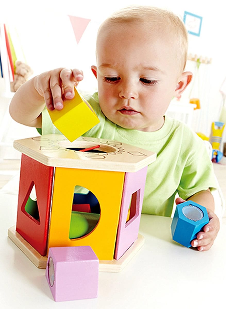 Hape Shake and Match Shape Sorter - E0407