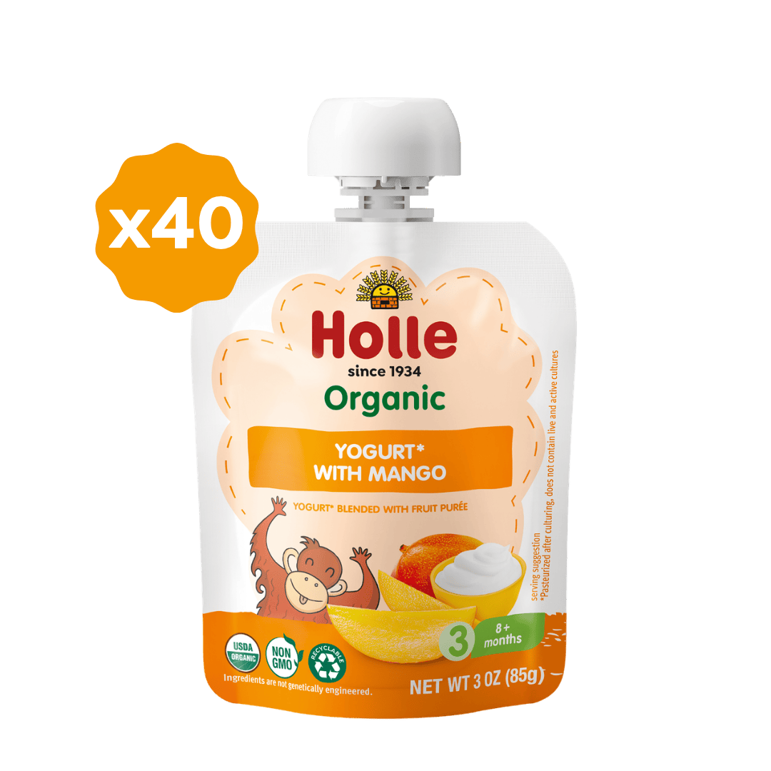 Holle Organic Mango Yogurt Pouches - MANGO-YOGURT-4