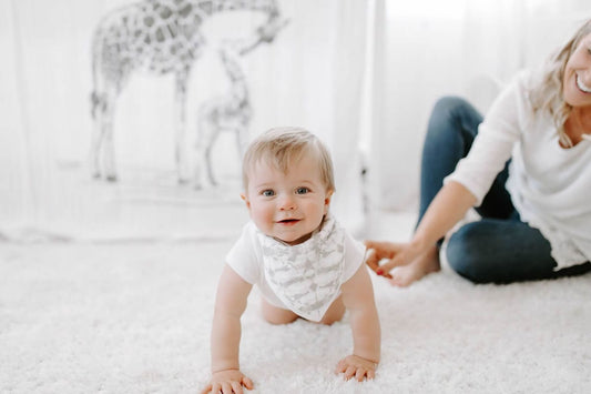 Aden + Anais Bandana Bib - Hear Me Roar Beetle Print - 7189-AA