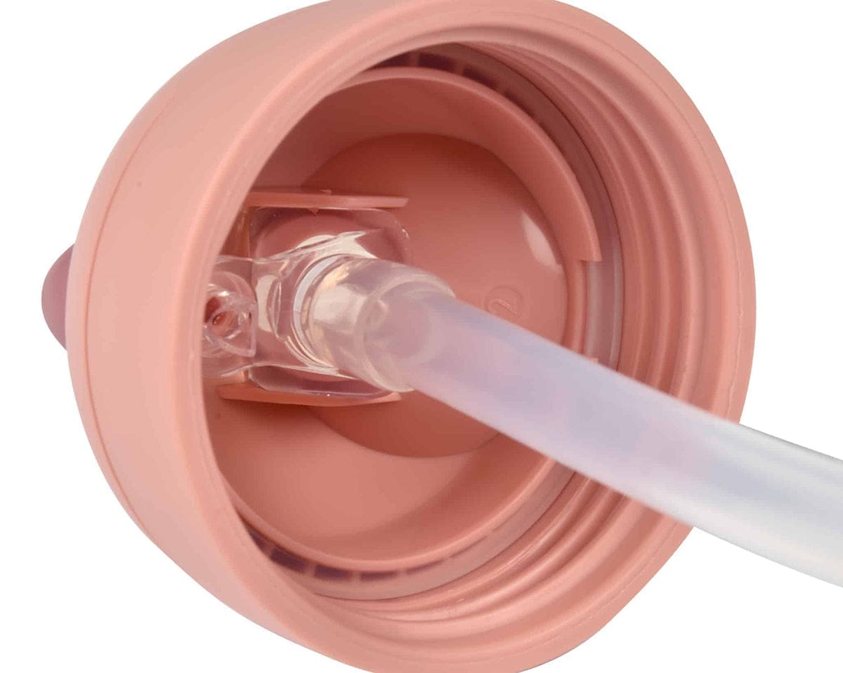Beaba Straw Sippy Cup - Rose