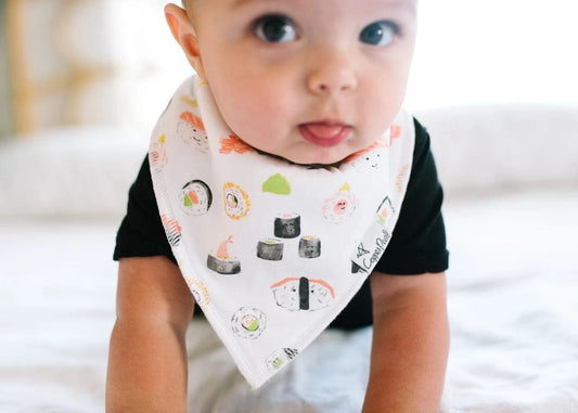 Copper Pearl Baby Bandana Bibs, 4 Pack - Baja