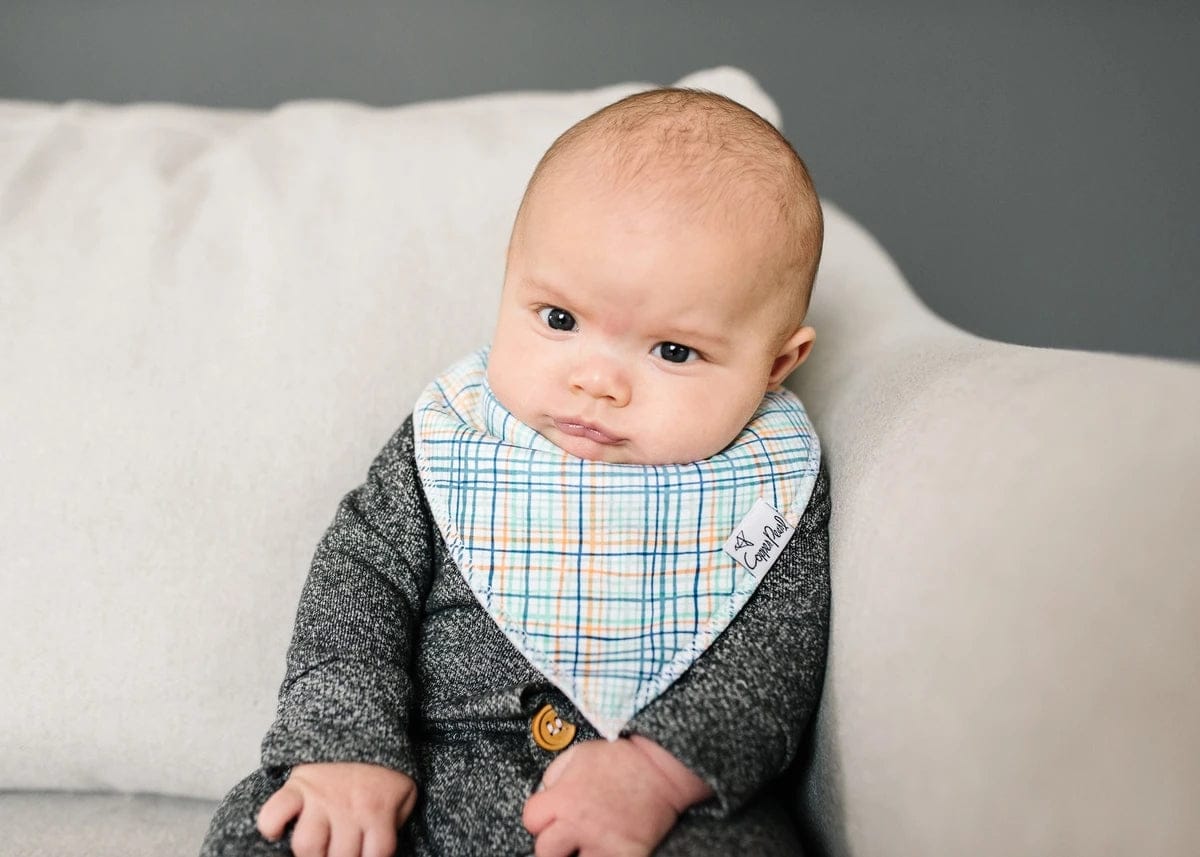 Copper Pearl Baby Bandana Bibs, 4 Pack - Citrus