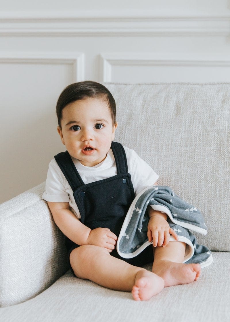 Copper Pearl Security Blanket, 2 Pack - North