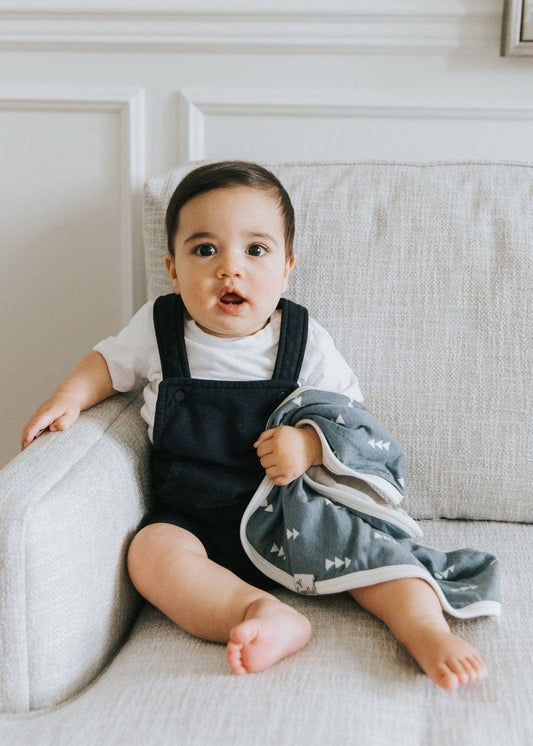 Copper Pearl Security Blanket, 2 Pack - North