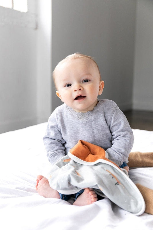 Copper Pearl Security Blanket, 2 Pack - Swift