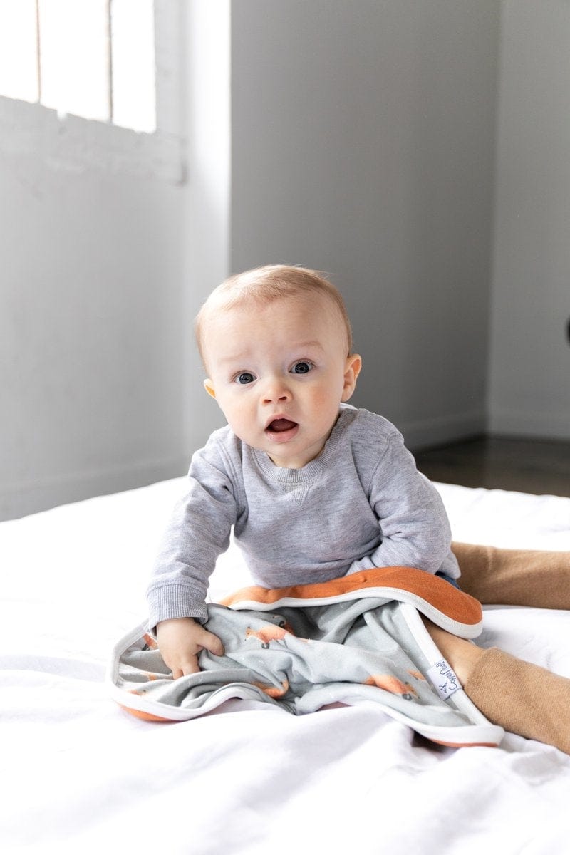 Copper Pearl Security Blanket, 2 Pack - Swift