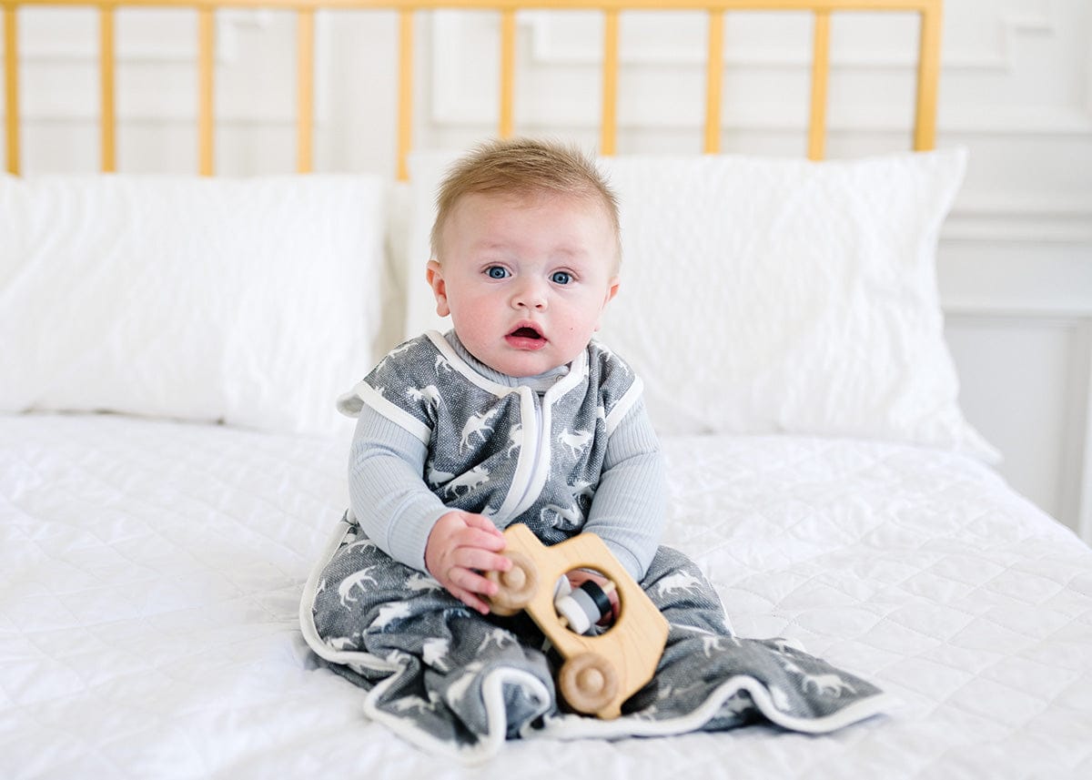 Copper Pearl Sleep Bag - Scout, 0-6M - X0029EFMIV