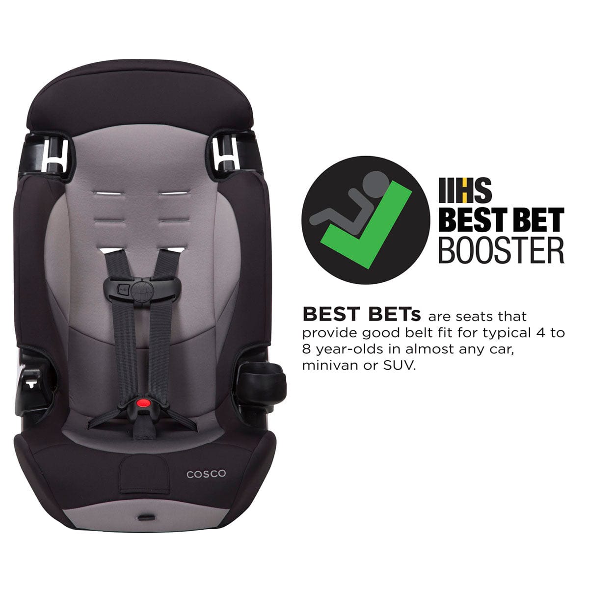 Cosco Finale DX 2-in-1 Harness Booster Car Seat - Dusk - BC121EPQ