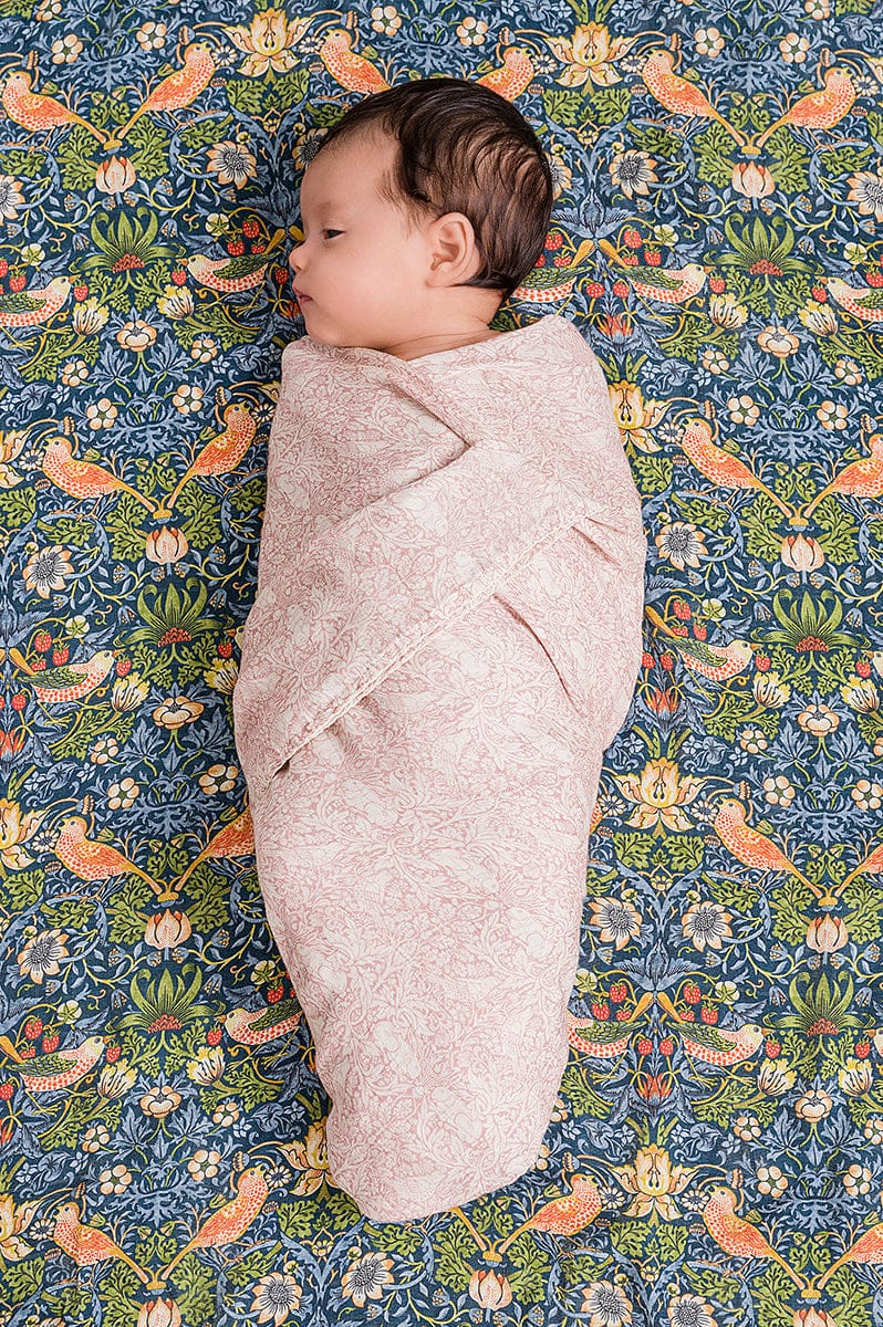 DockATot Swaddle Set - Brer Rabbit / Strawberry Thief - 615119-DOCK