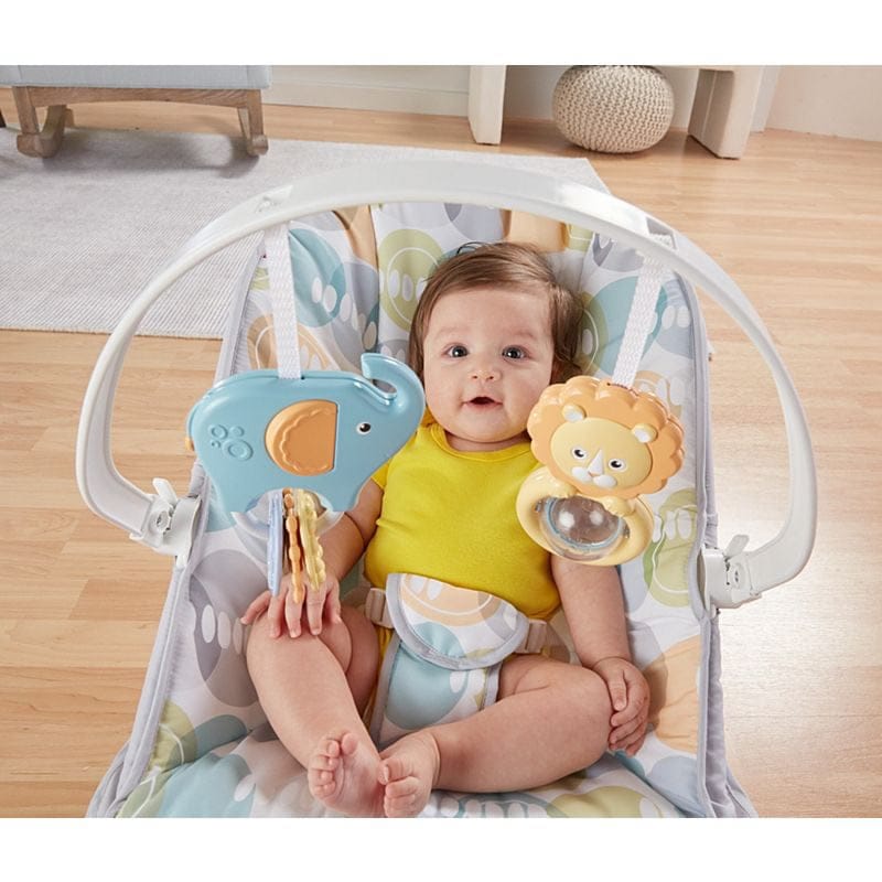 Fisher-Price Comfort Curve Bouncer - Multi/Neutral