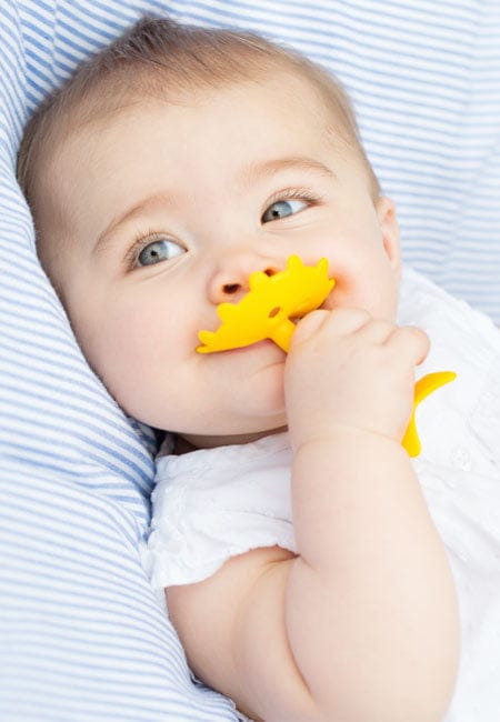 Innobaby Teethin' Smart EZ Grip Teether, Fruit - Citrus