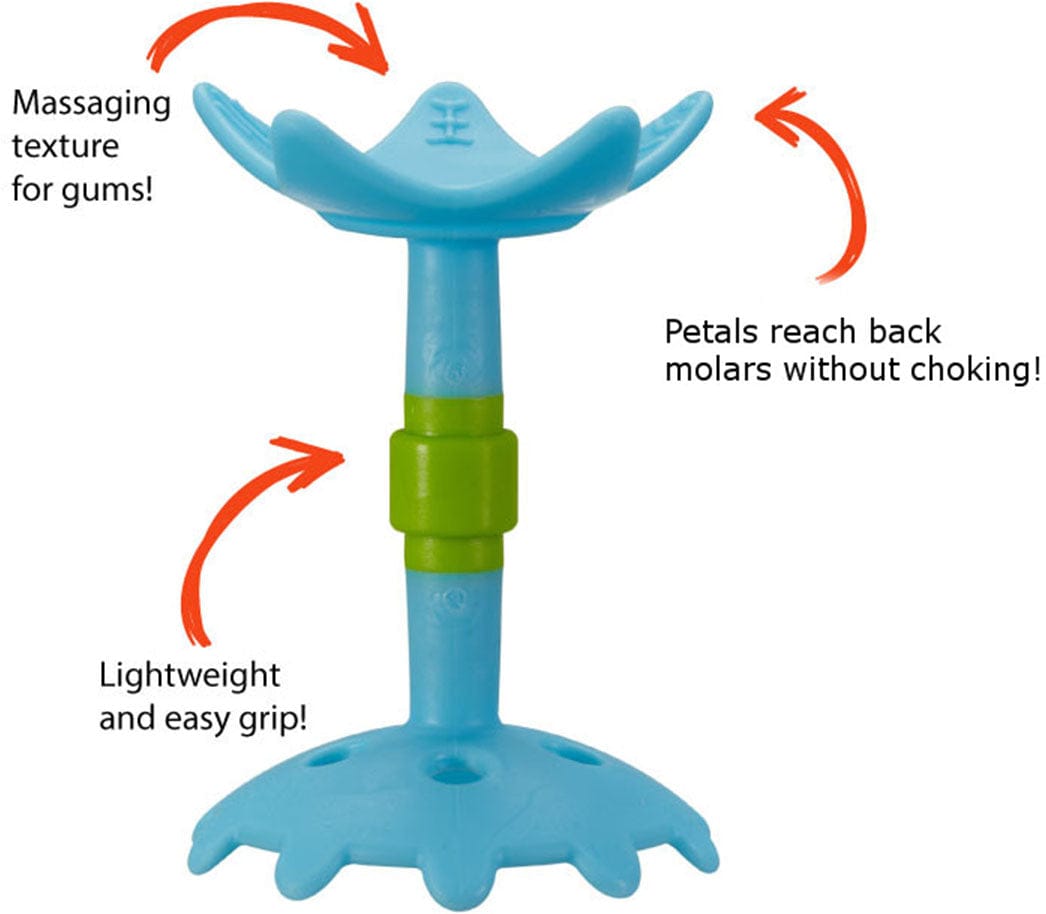 Innobaby Teethin' Smart EZ Grip Teether, Star - Blue - TE-202