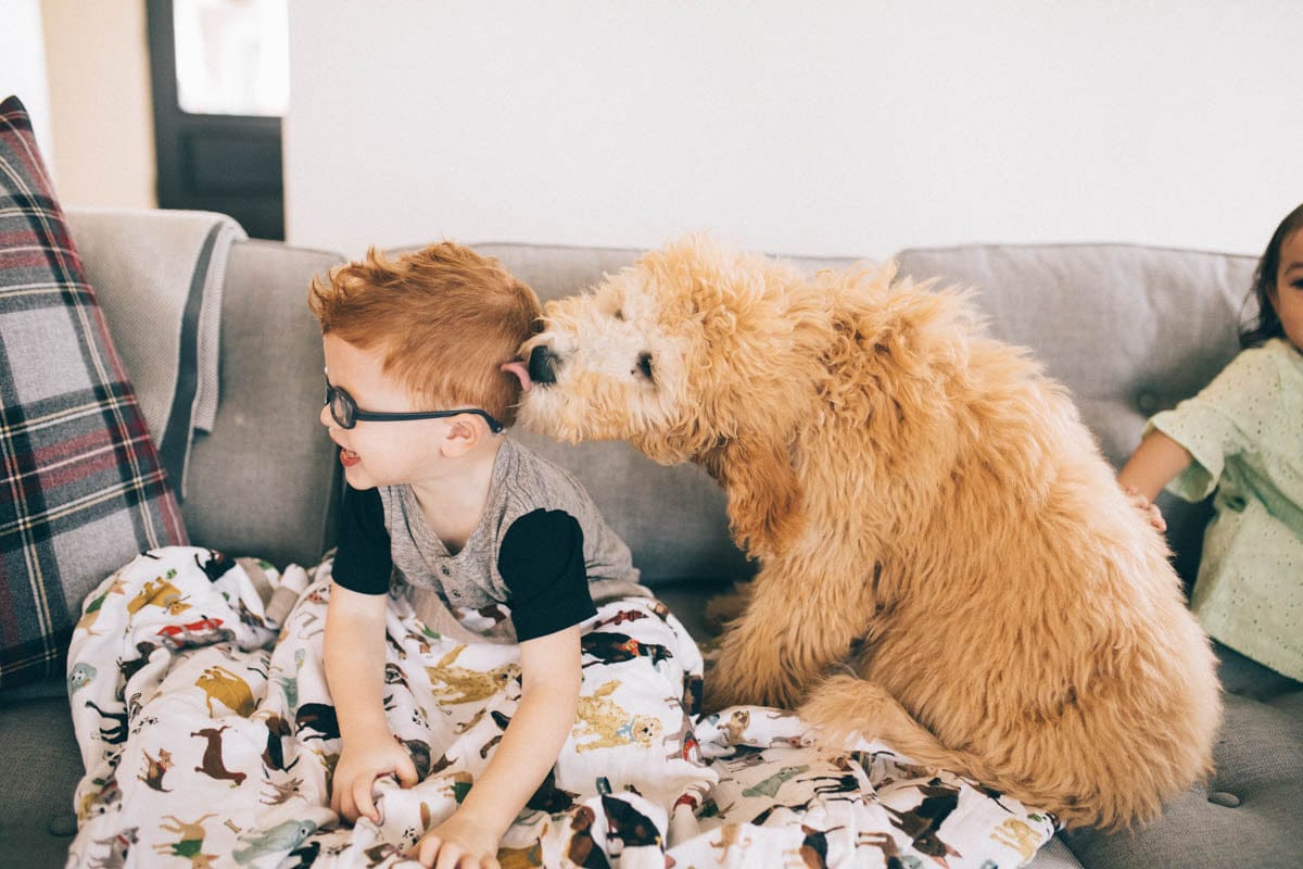 Little Unicorn Cotton Muslin Big Kid Quilt - Woof