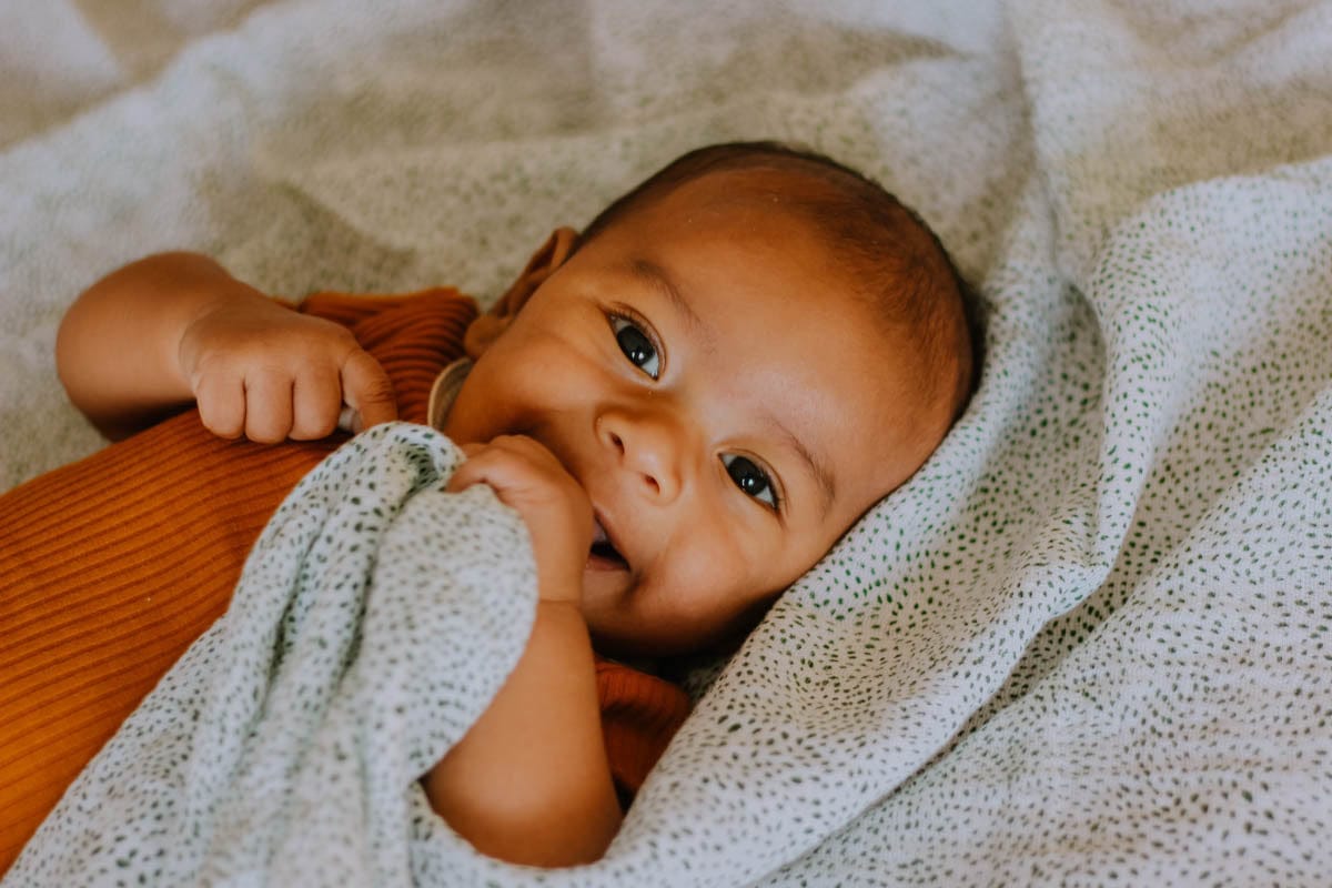 Little Unicorn Cotton Muslin Swaddle 3 Pack - Summer Poppy 2 Set