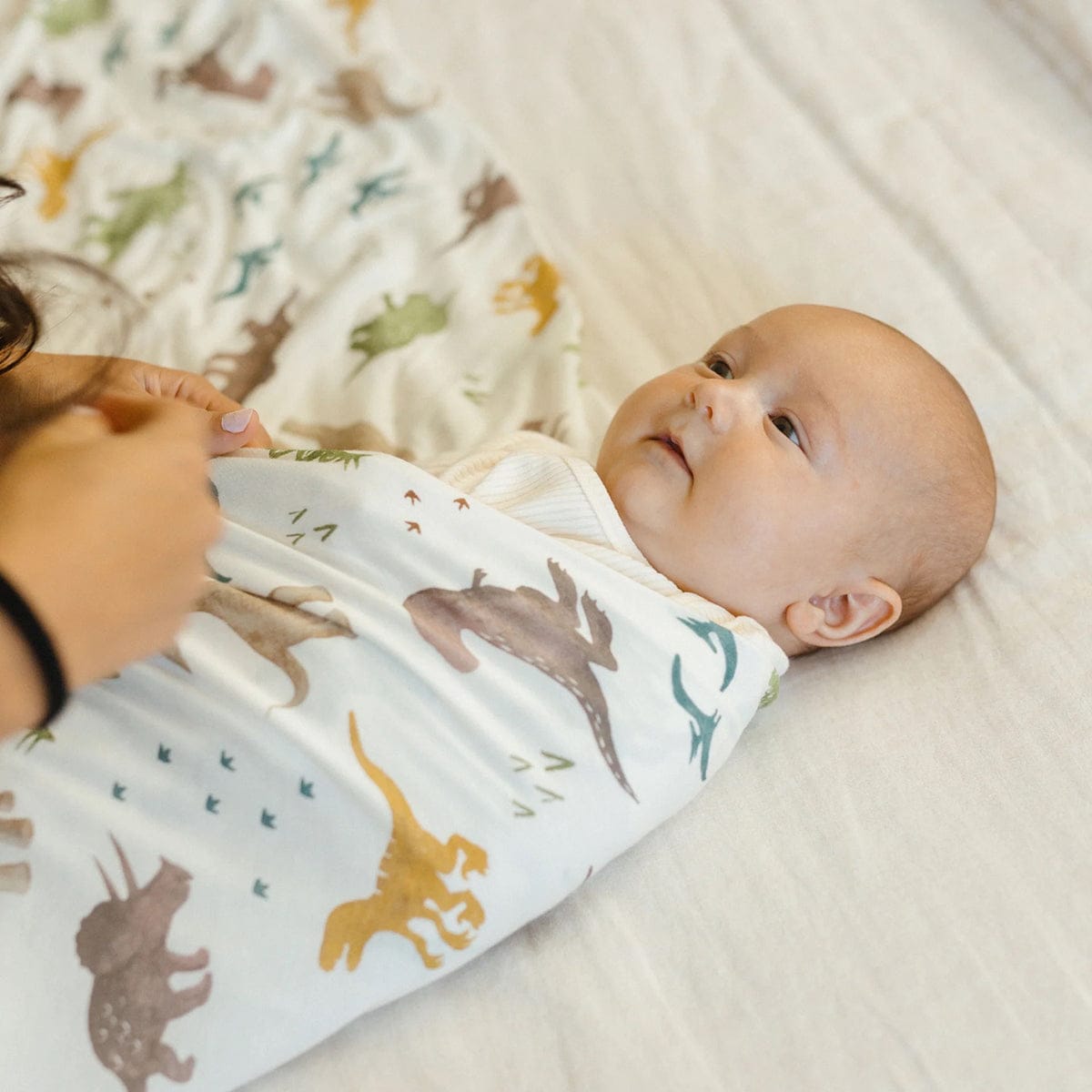 Little Unicorn Stretch Knit Swaddle Blanket - Dino Pals