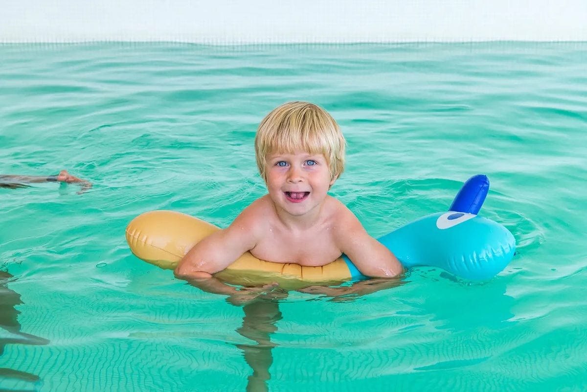 Quut Noodle Friends - Dino - QUUS-NOODLE-DINO