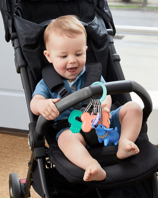 Skip Hop Dog Walker Stroller Toy - 9M429210