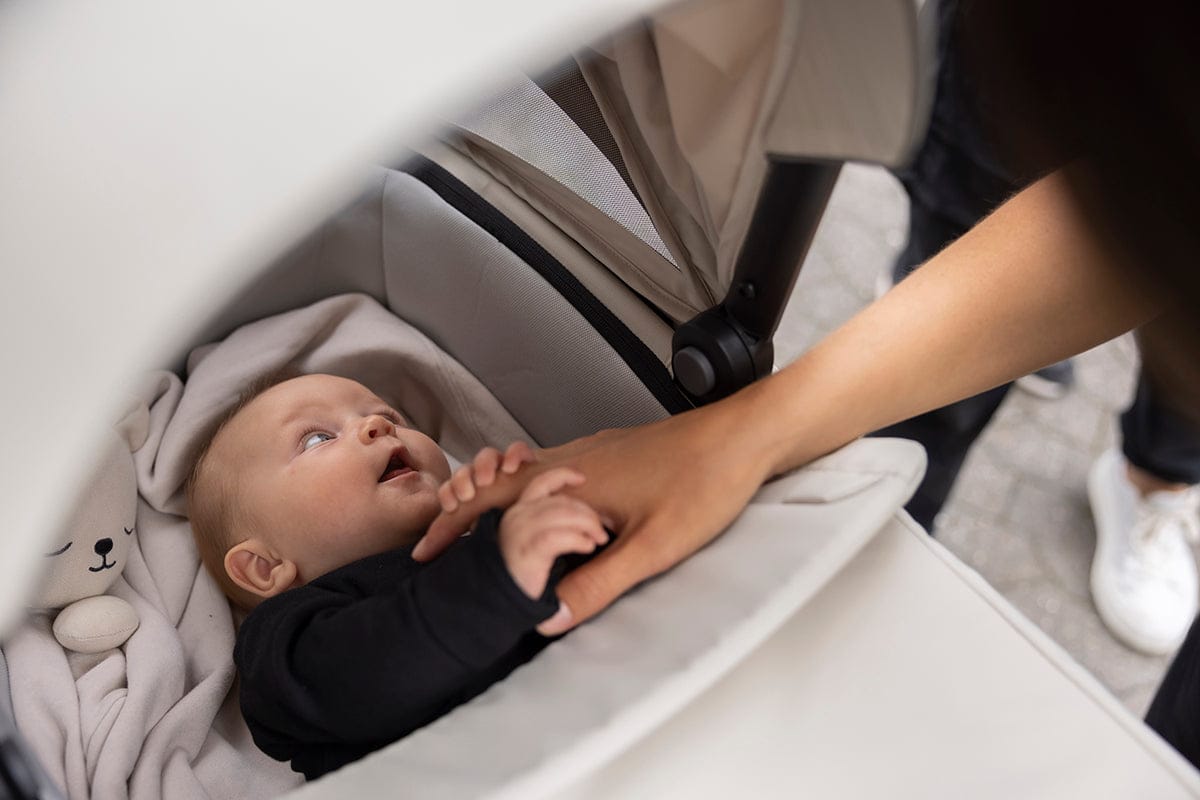 Thule Urban Glide 3 Single Jogging Stroller with NON-Magnetic Buckle + Bassinet Bundle - Nutria Green / Black - 10101974-20110754