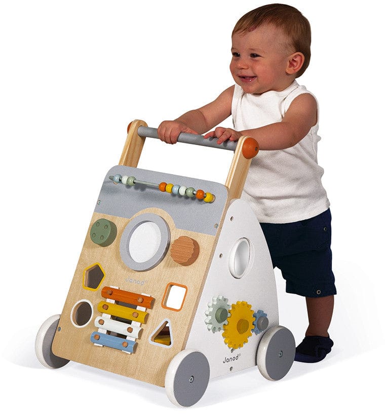 Janod Sweet Cocoon Multi Activity Baby Walker - J04410