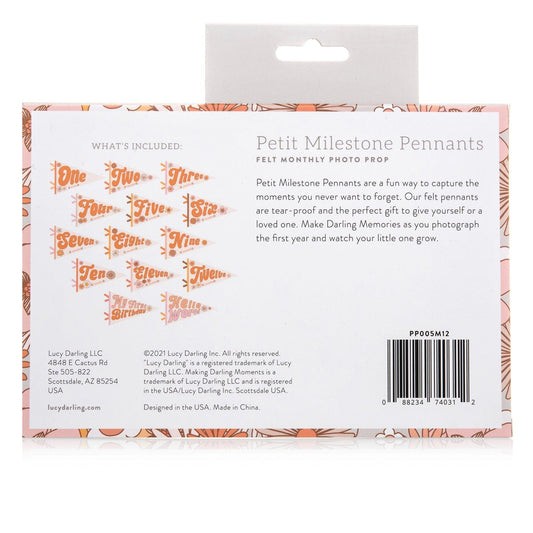 Lucy Darling Petit Milestone Pennant - Flower Child - PP005M12