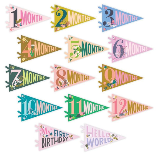 Lucy Darling Petit Milestone Pennant - Little Artist - PP002M12