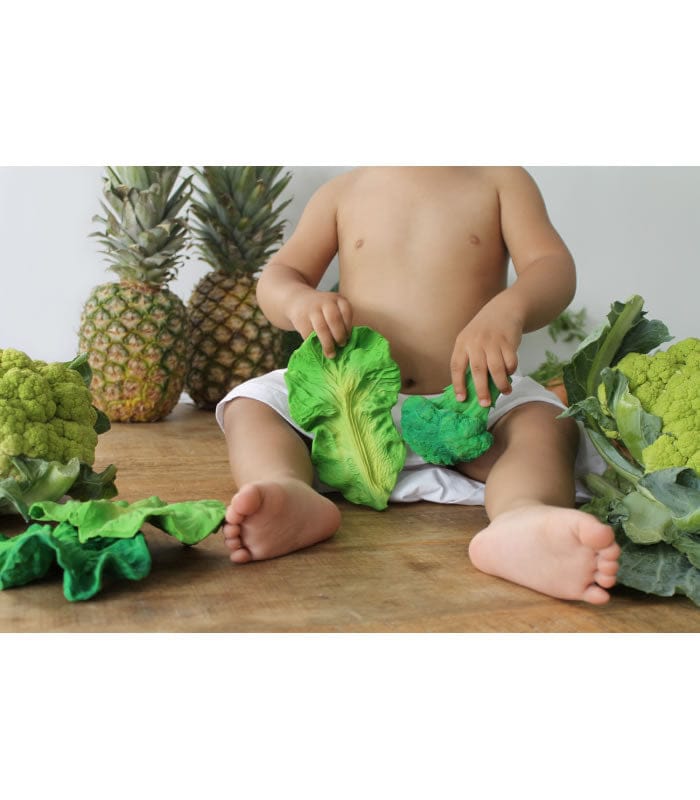 Oli & Carol Kendall the Kale - 8.43702E+12