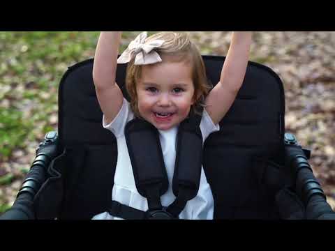 WonderFold W4 Luxe Multifunctional Quad (4 Seater) Stroller Wagon - Charcoal Gray/Black Frame