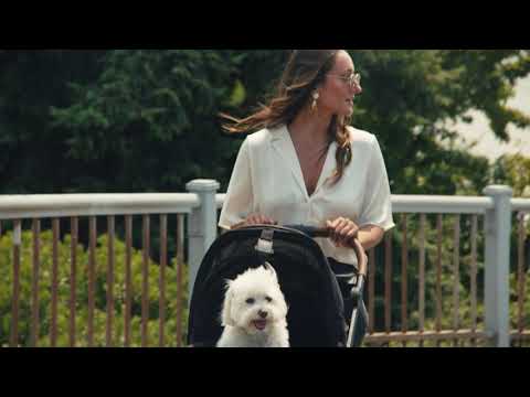 Tavo Pets Roscoe Stroller Frame for Maeve Pet Protection System - Black - TS0004AABLK000