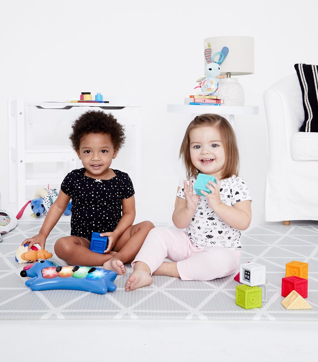 Skip Hop Vibrant Village Light-Up Dog Piano