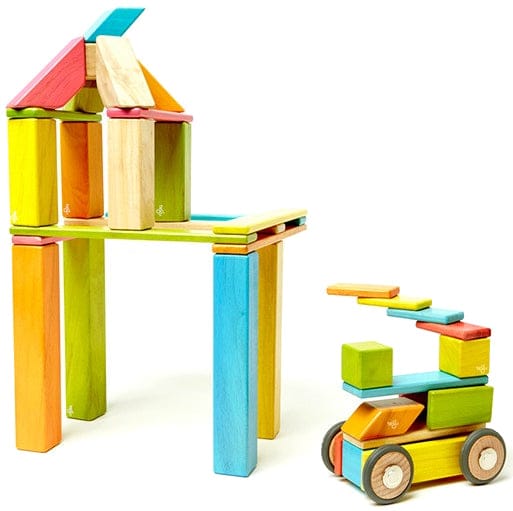 Tegu 42 Piece Magnetic Blocks Set - Tegu Tints - 42P-TNT-306T