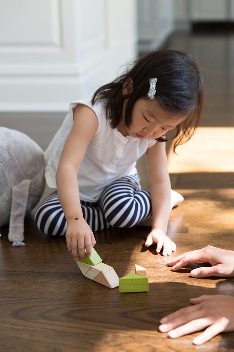 Tegu Pocket Pouch Prism 6 Piece Magnetic Blocks - Jungle