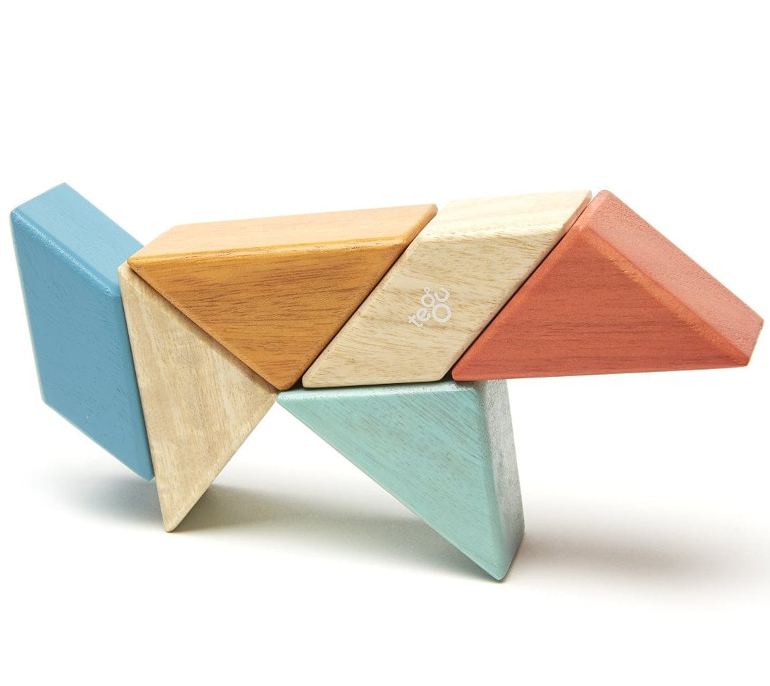 Tegu Pocket Pouch Prism 6 Piece Magnetic Blocks - Sunset
