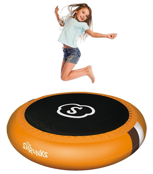 The Shrunks Trampoline with Pool