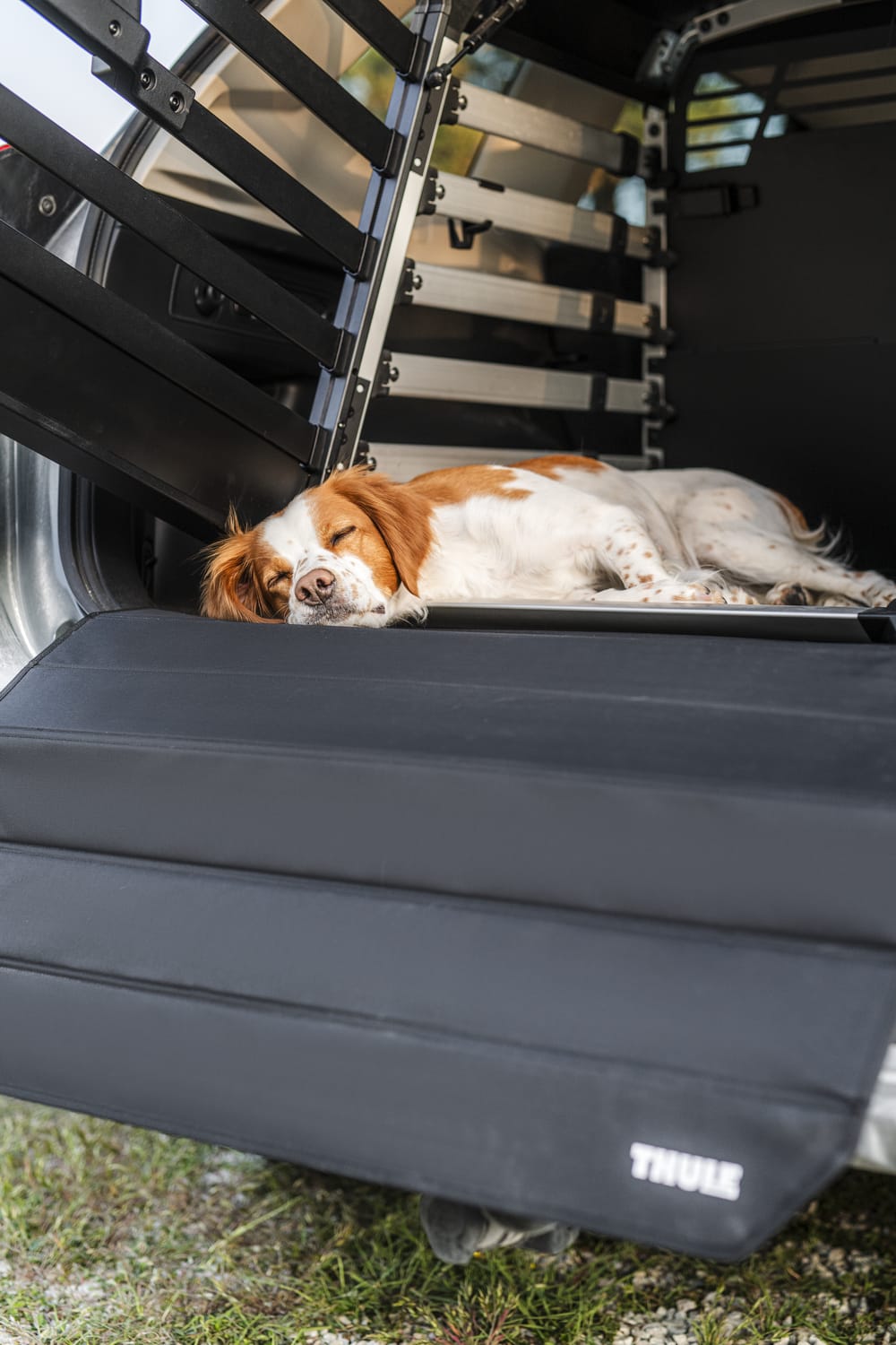 Thule Dog Crate Bumper Protector - Standard - 770100