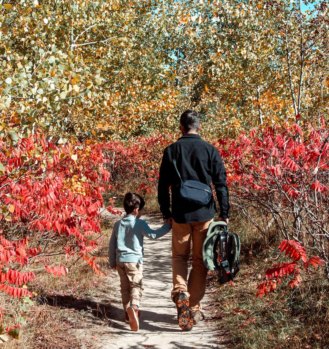 WAYB Pico Forward Facing Travel Car Seat - Woodland (Albee Exclusive color, 2020 model)