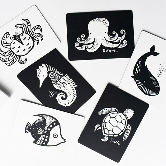 Wee Gallery Art Cards for Baby - Ocean Collection - WG115